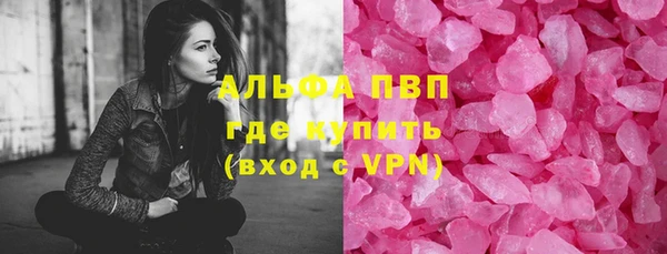 дживик Няндома