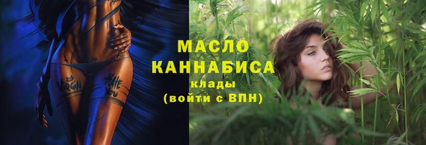 дживик Няндома