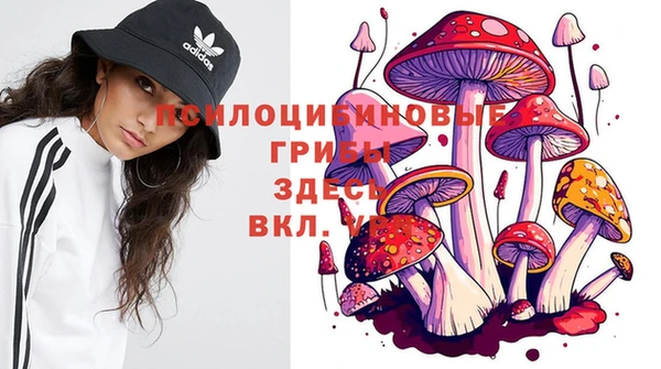apvp Остров