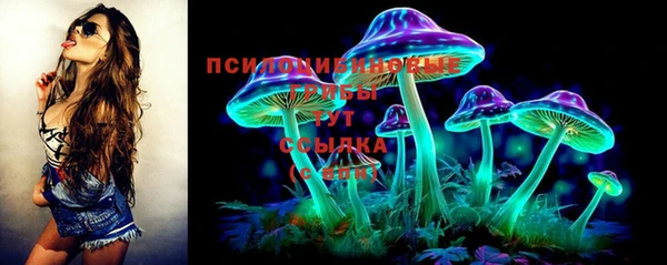 apvp Остров