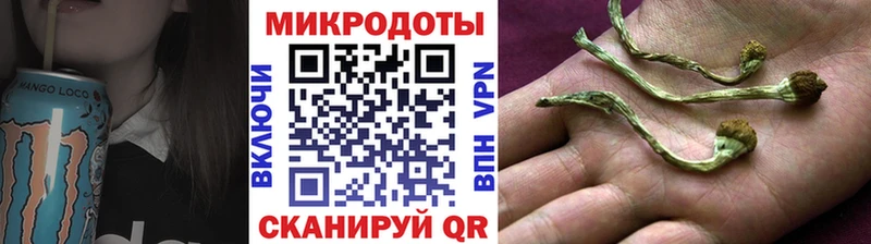 закладки  Власиха  Псилоцибиновые грибы Cubensis 